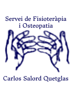 Carlos Salord Quetglas Fisioterapeuta